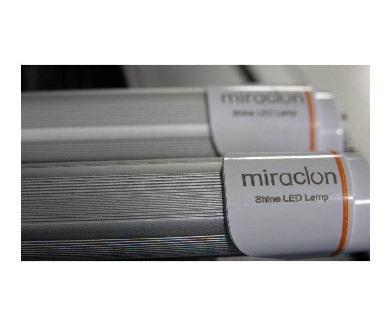 Shine LED lamp kit